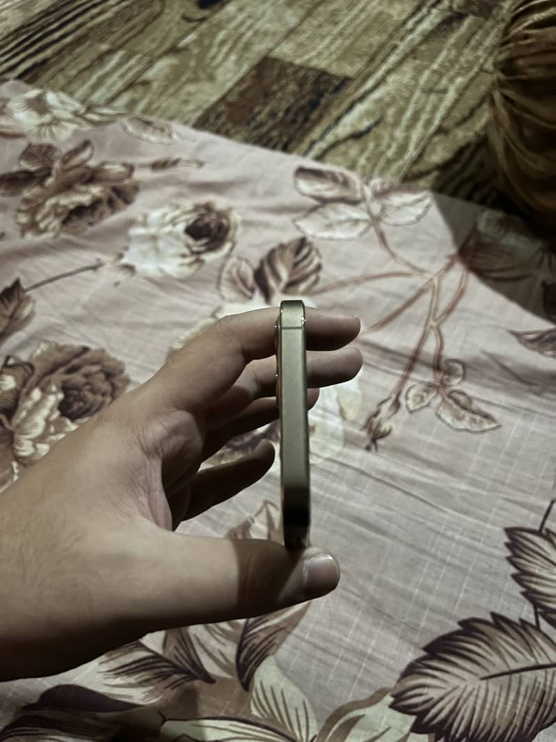 Apple iPhone 12 Pro 2