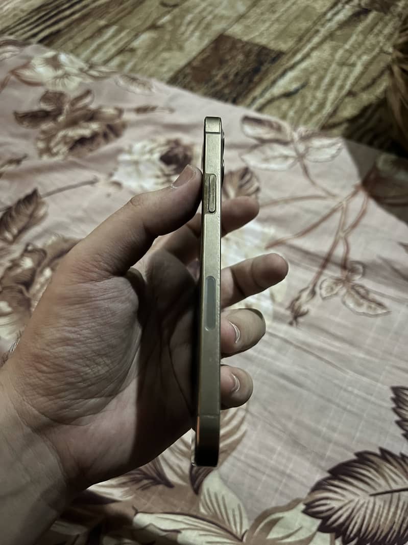 Apple iPhone 12 Pro 4