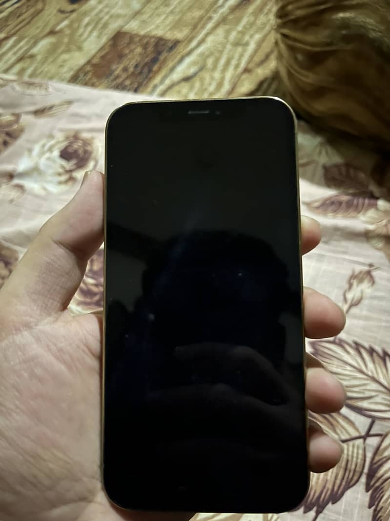 Apple iPhone 12 Pro 6