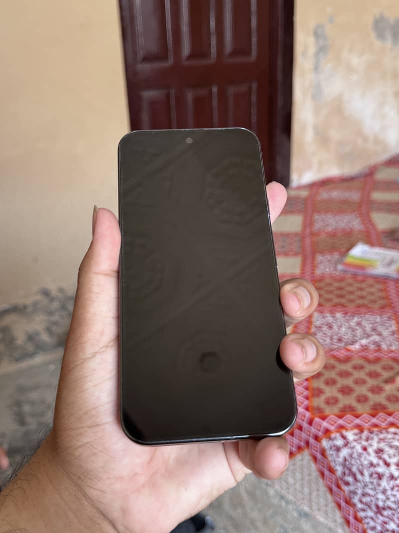 Google Pixel 9 Pro XL 1