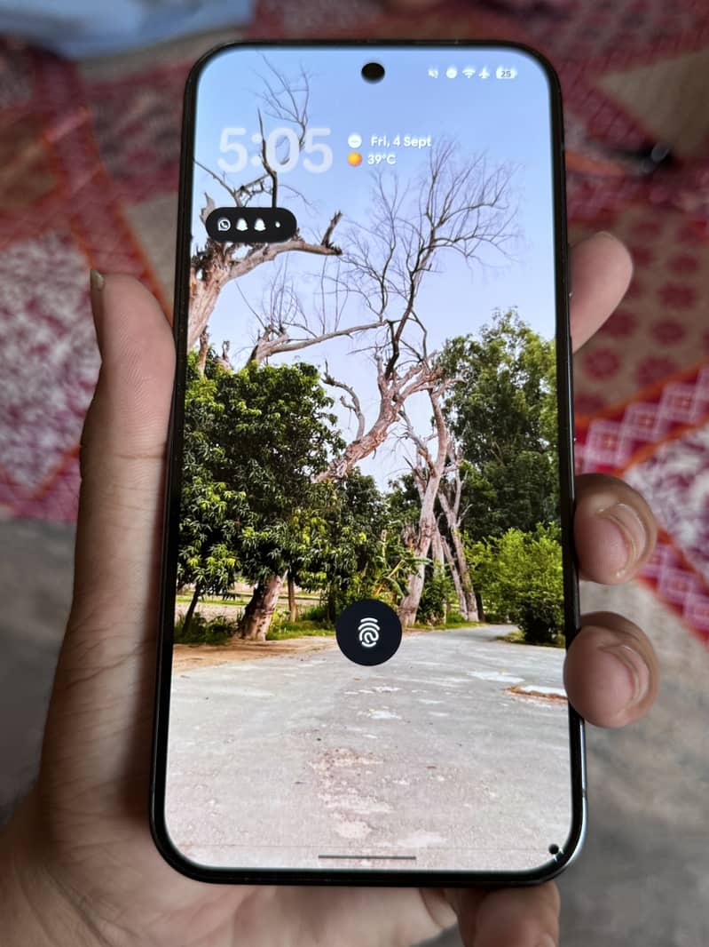 Google Pixel 9 Pro XL 5