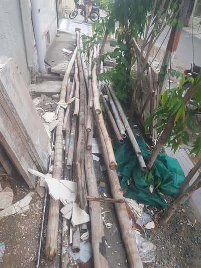 Bamboo for sale