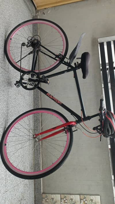 Racing Bicycle