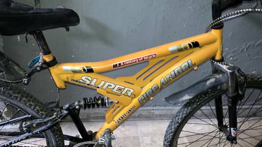 Super Angel bicycle for sale