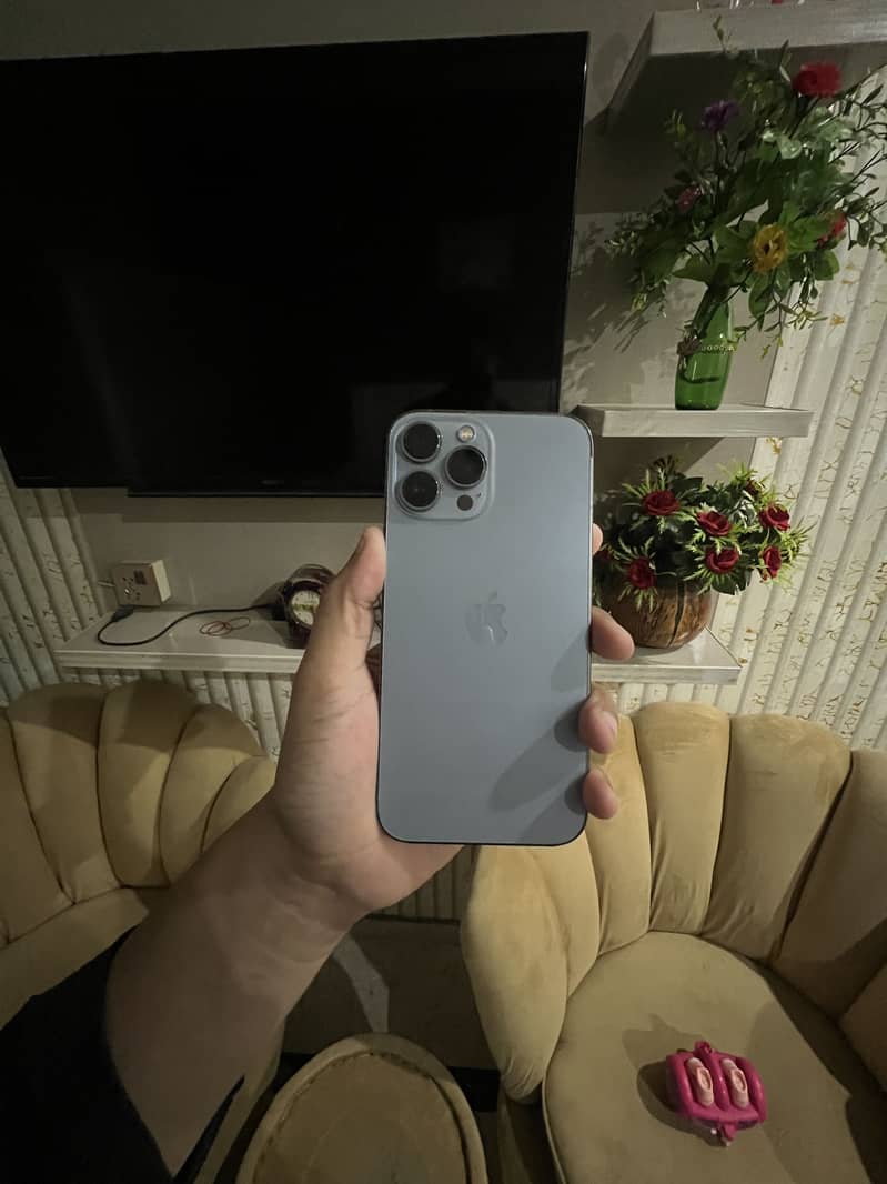 Apple iPhone 13 Pro Max 1