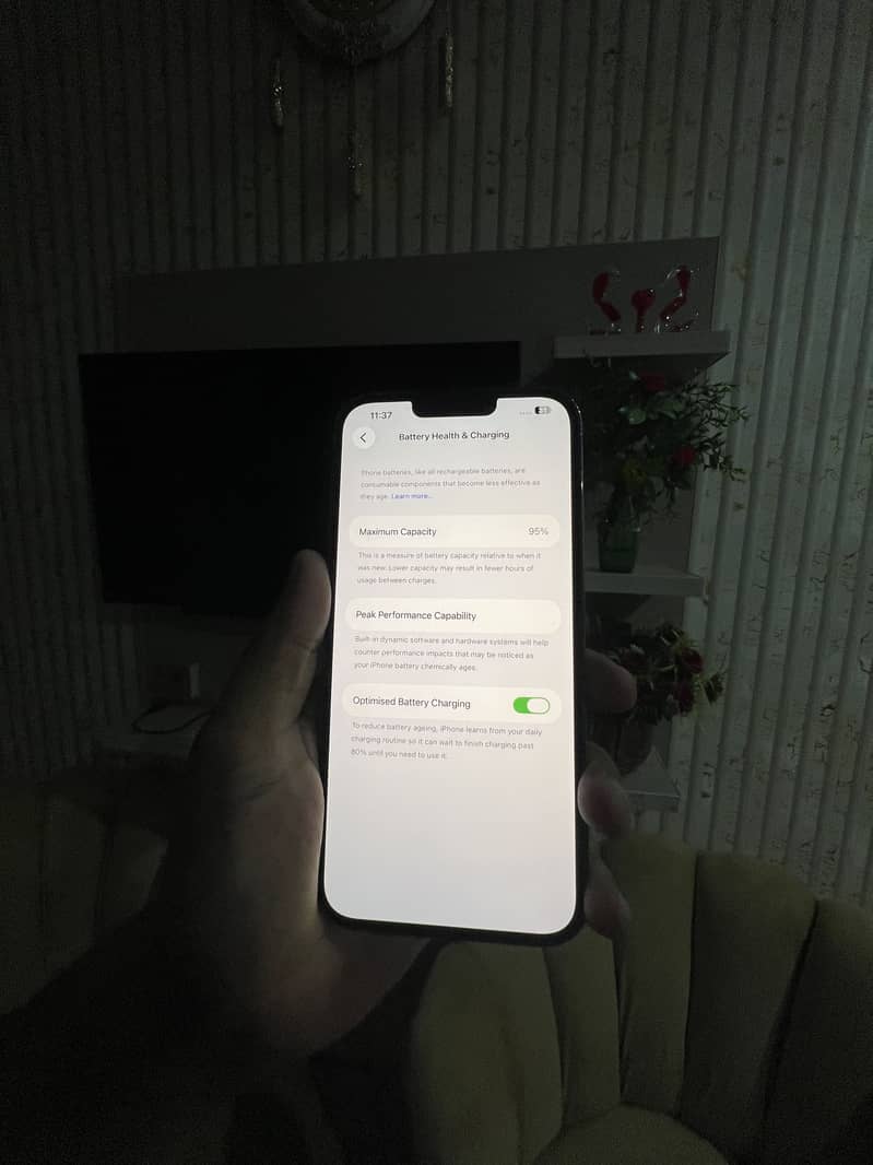 Apple iPhone 13 Pro Max 7