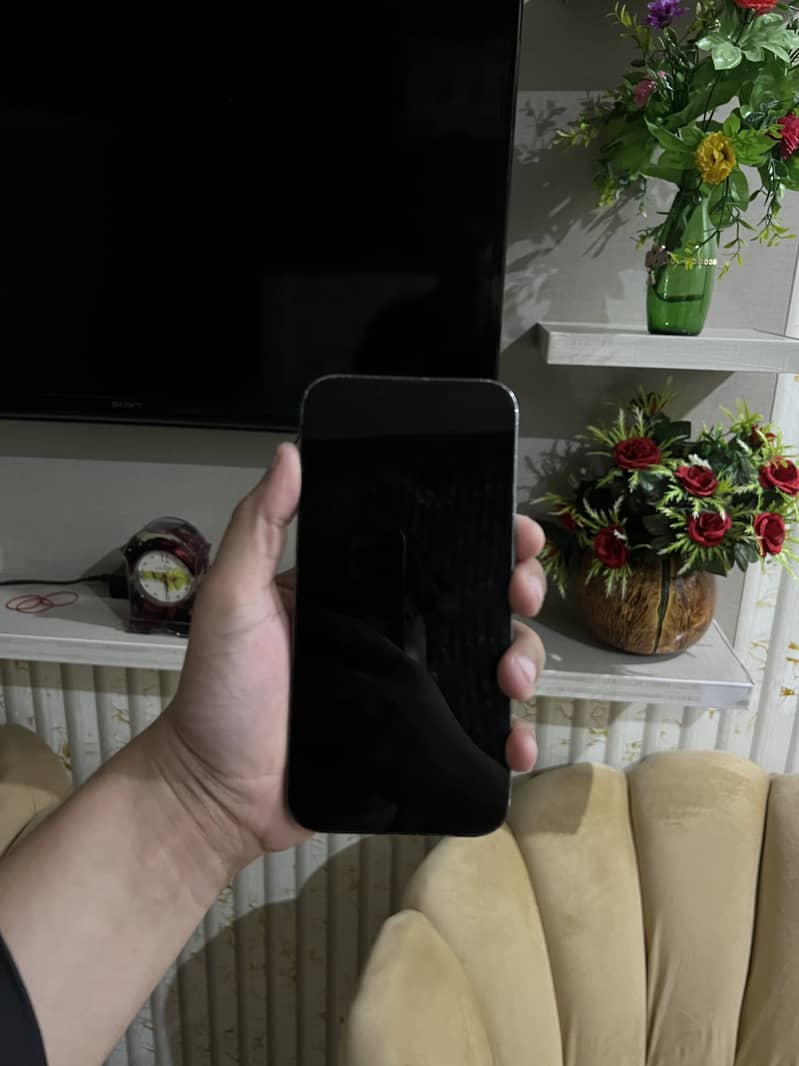 Apple iPhone 13 Pro Max 9
