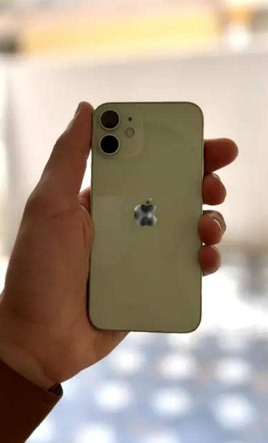 Apple iPhone 12 mini 1