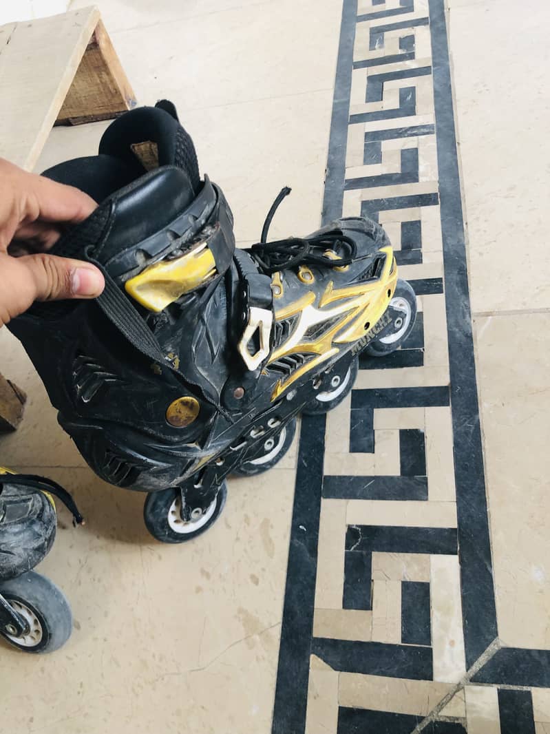Skates 1