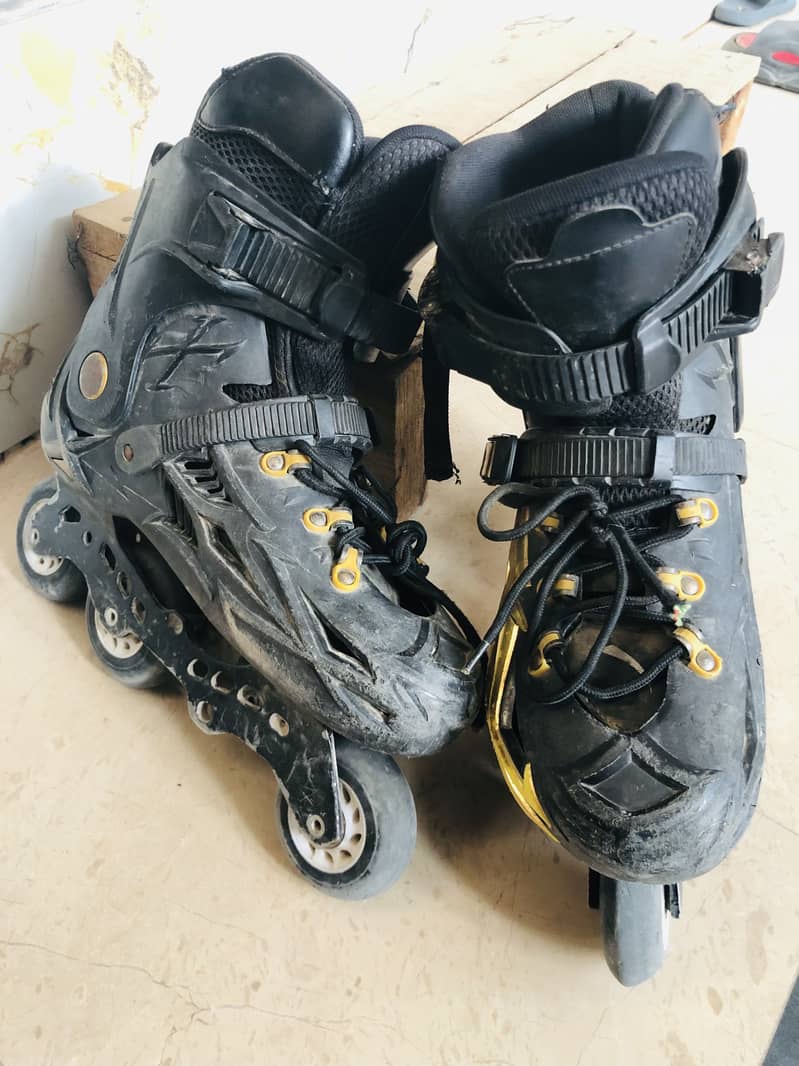 Skates 2