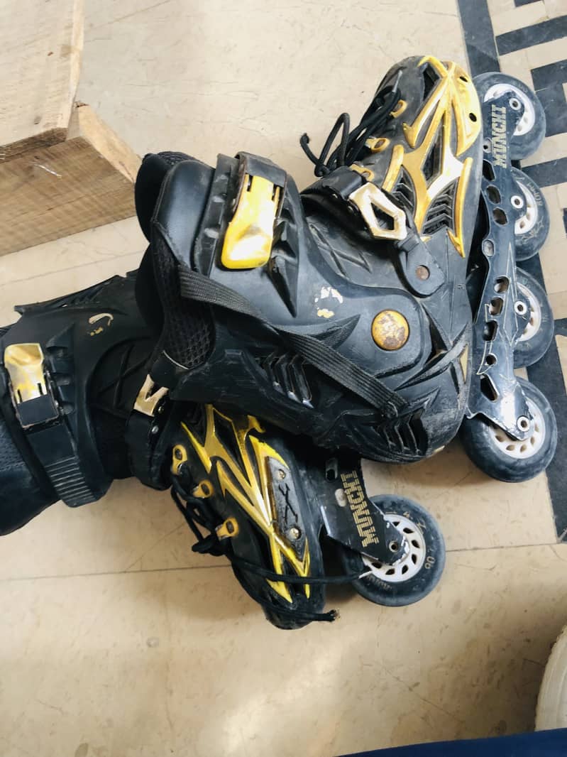 Skates 3
