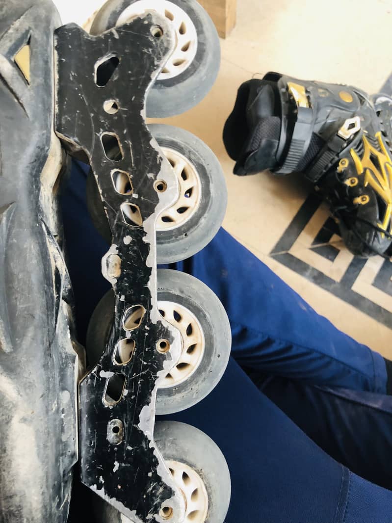 Skates 6