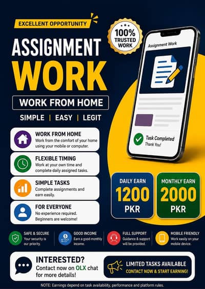 Profesional assignment work