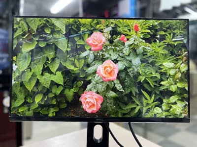 Dell LED Monitor