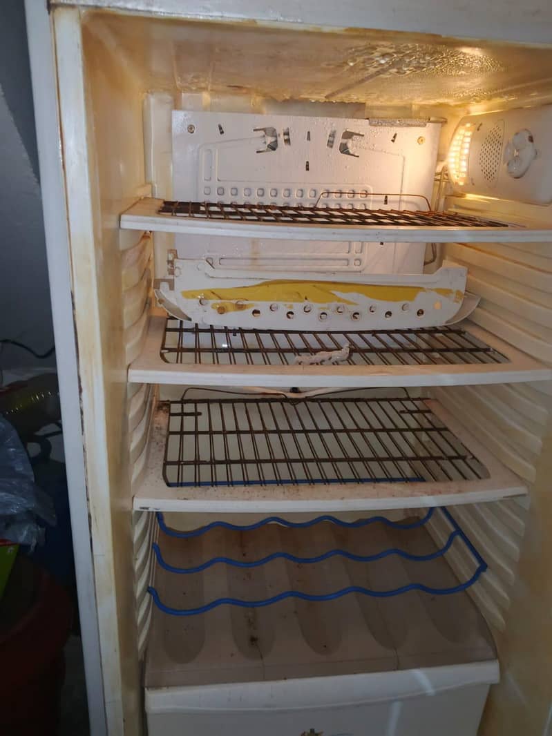 PEL fridge 2