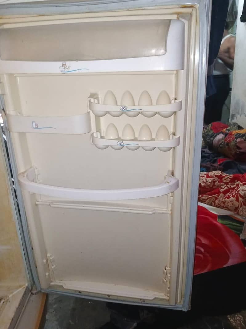 PEL fridge 3
