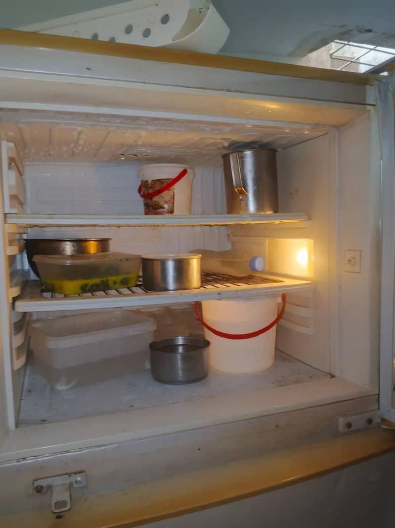 PEL fridge 6