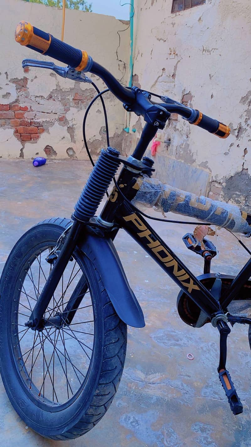 bycycle 1
