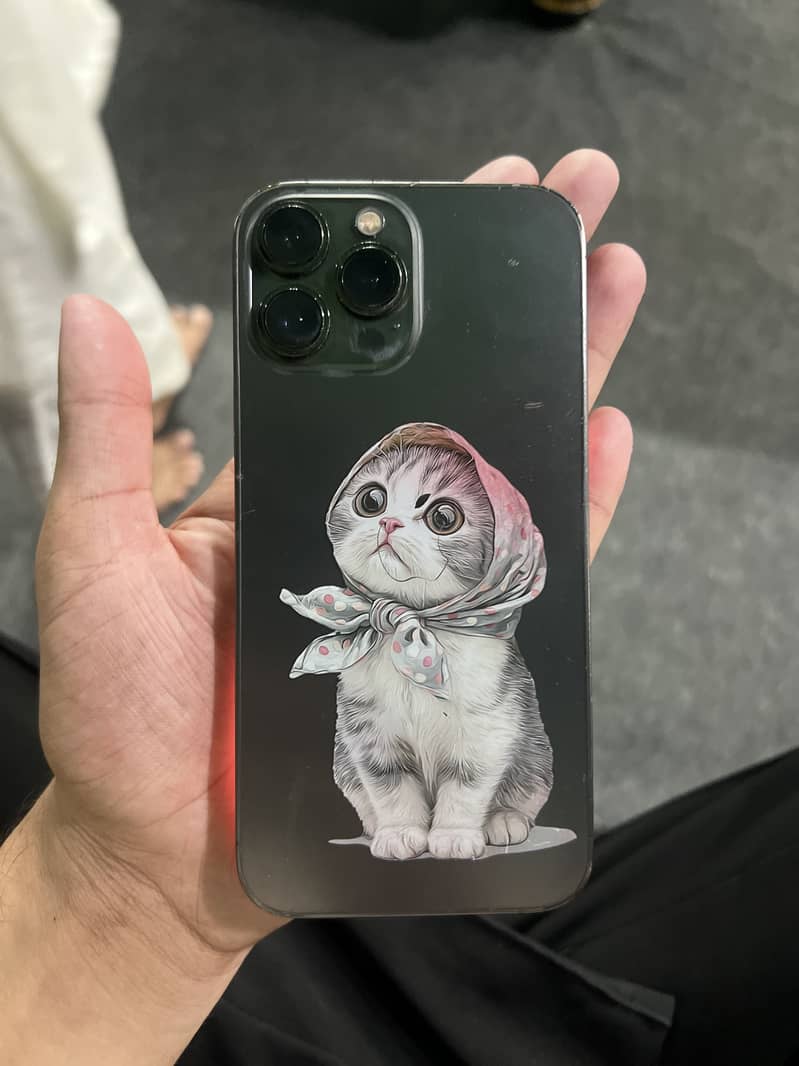 Apple iPhone 13 Pro Max 5