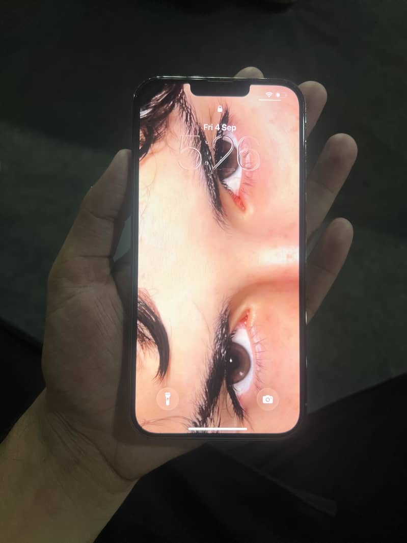 Apple iPhone 13 Pro Max 6