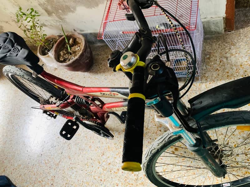 Genuine Cycle 1