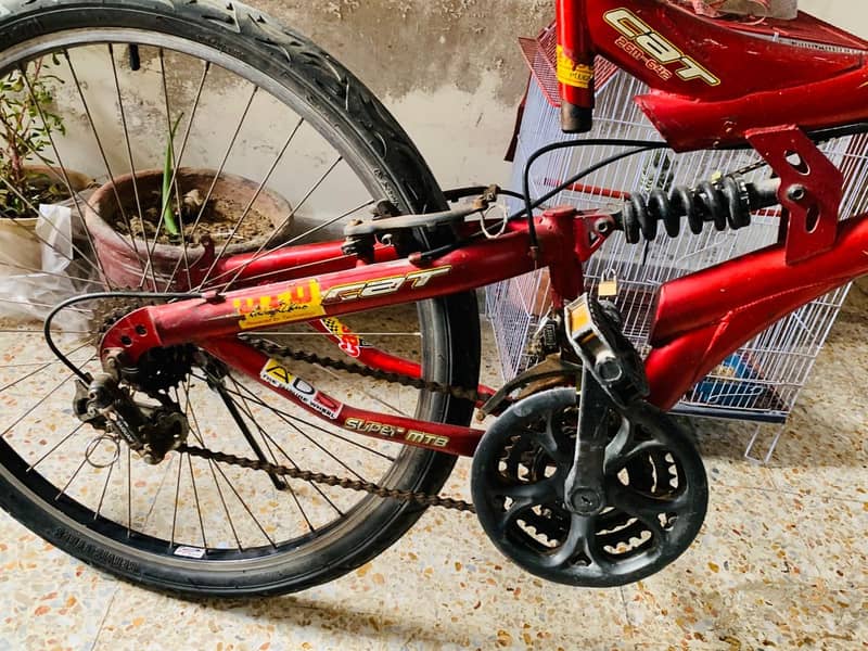 Genuine Cycle 3