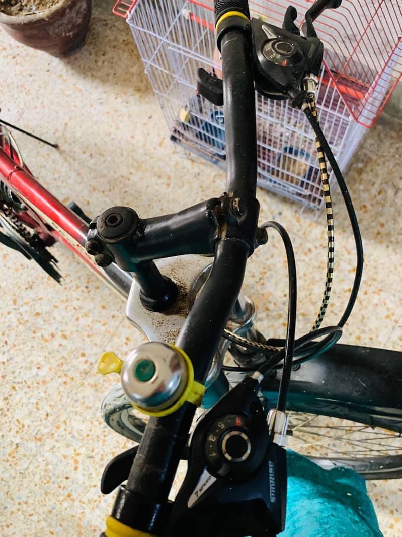 Genuine Cycle 4