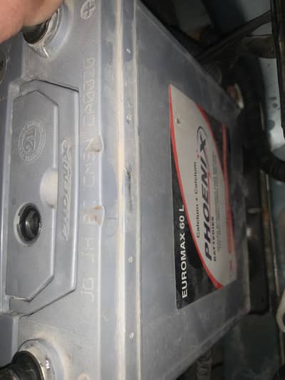 Phonics dry battery 60L