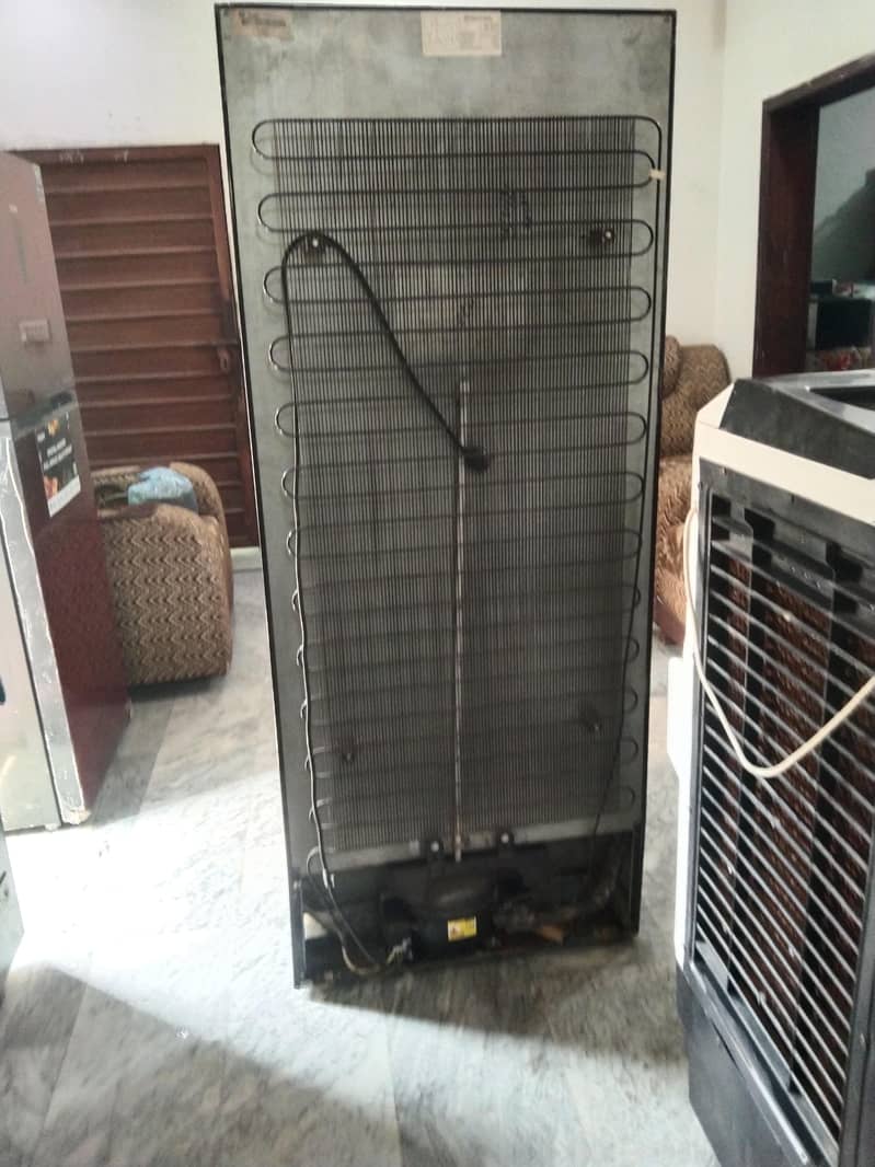 Electrolux Fridge 4