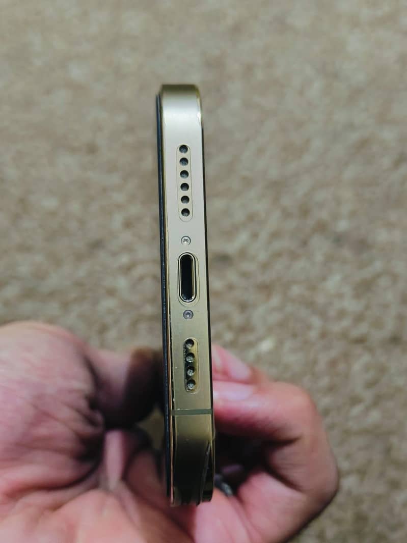 Apple iPhone 12 Pro Max 1