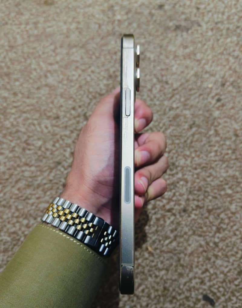 Apple iPhone 12 Pro Max 2
