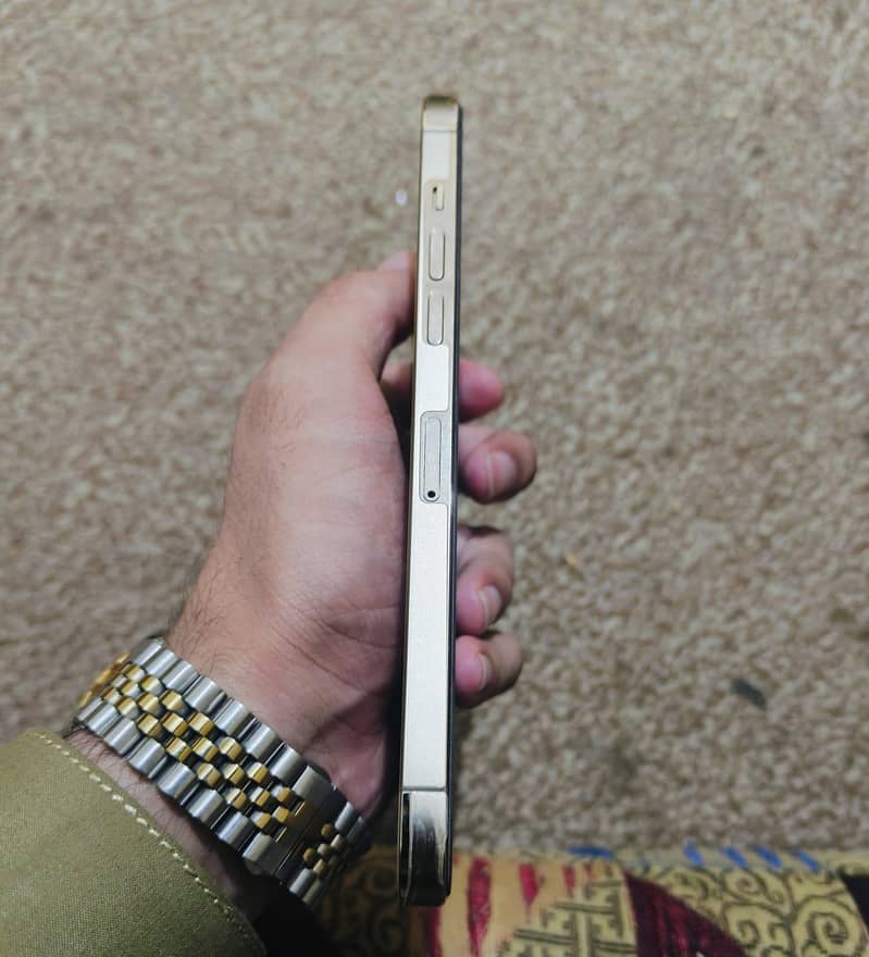 Apple iPhone 12 Pro Max 3