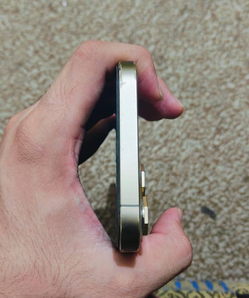 Apple iPhone 12 Pro Max 4