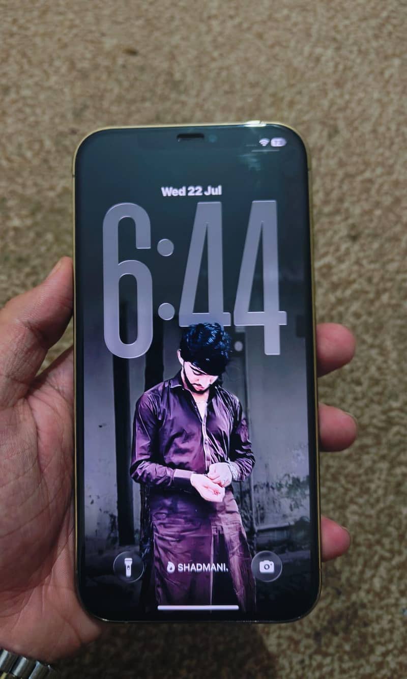 Apple iPhone 12 Pro Max 5