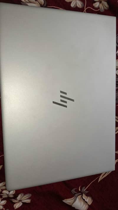 Windows 11