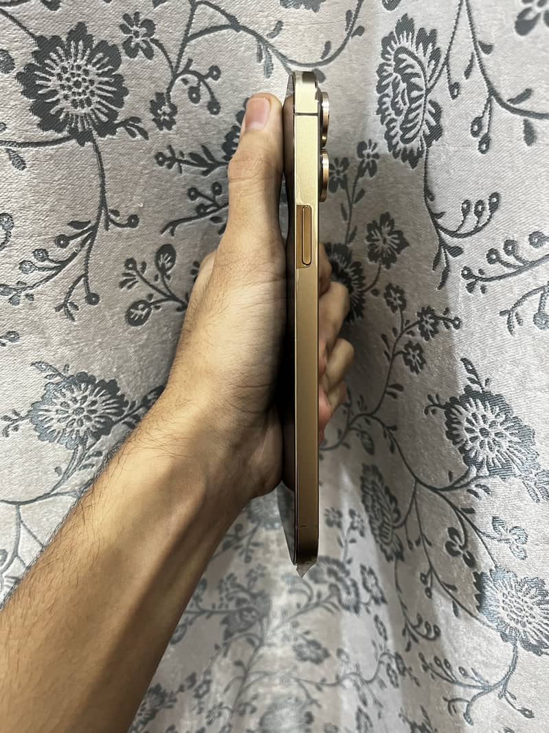 Apple iPhone 13 Pro Max 1