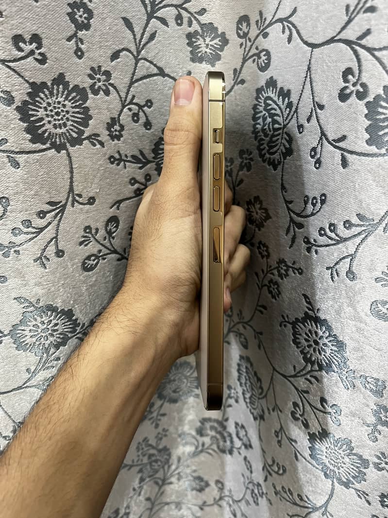 Apple iPhone 13 Pro Max 2