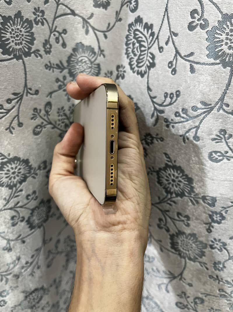 Apple iPhone 13 Pro Max 4