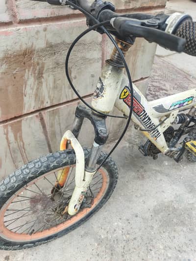 imported  cycle 20"