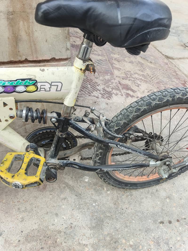 imported  cycle 20" 2