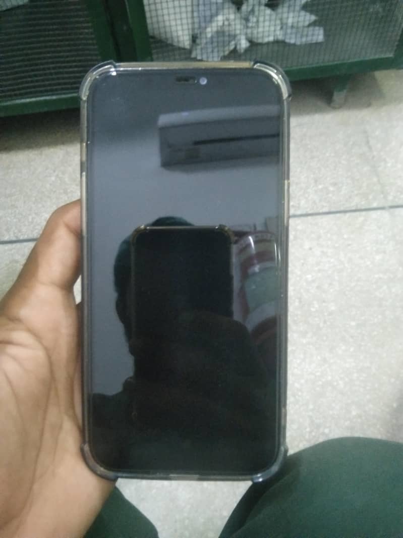 Apple iPhone 12 Pro Max 2