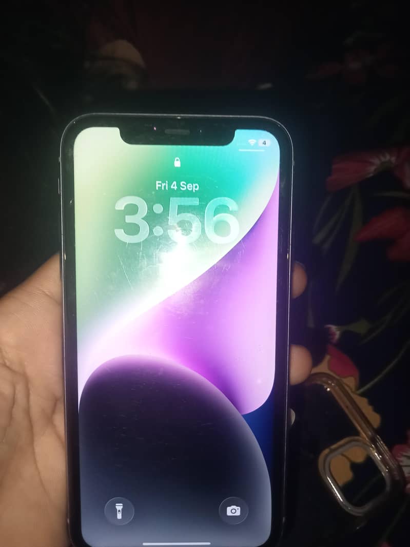 Apple iPhone 11 0