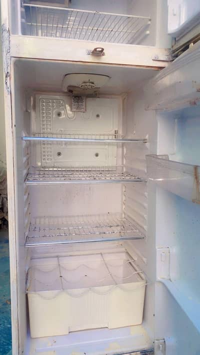 fridge full size A1 condition