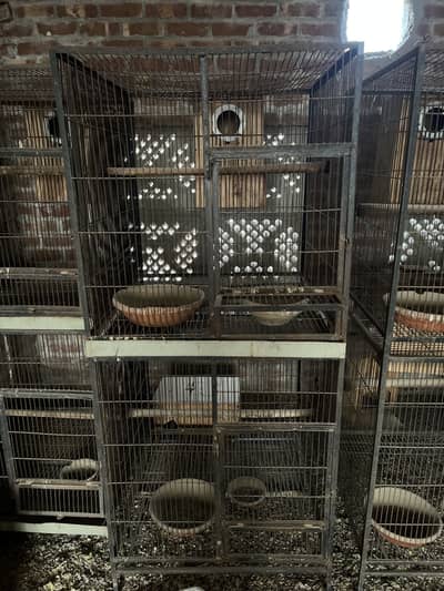 Parrots cages for sale