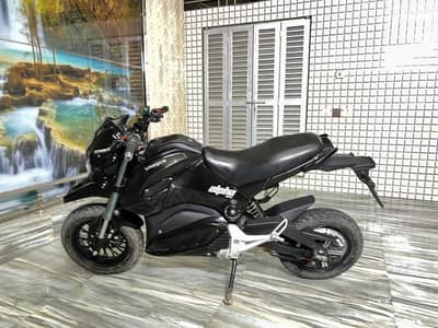 Unique alpha 1500 electric bike 2026 model