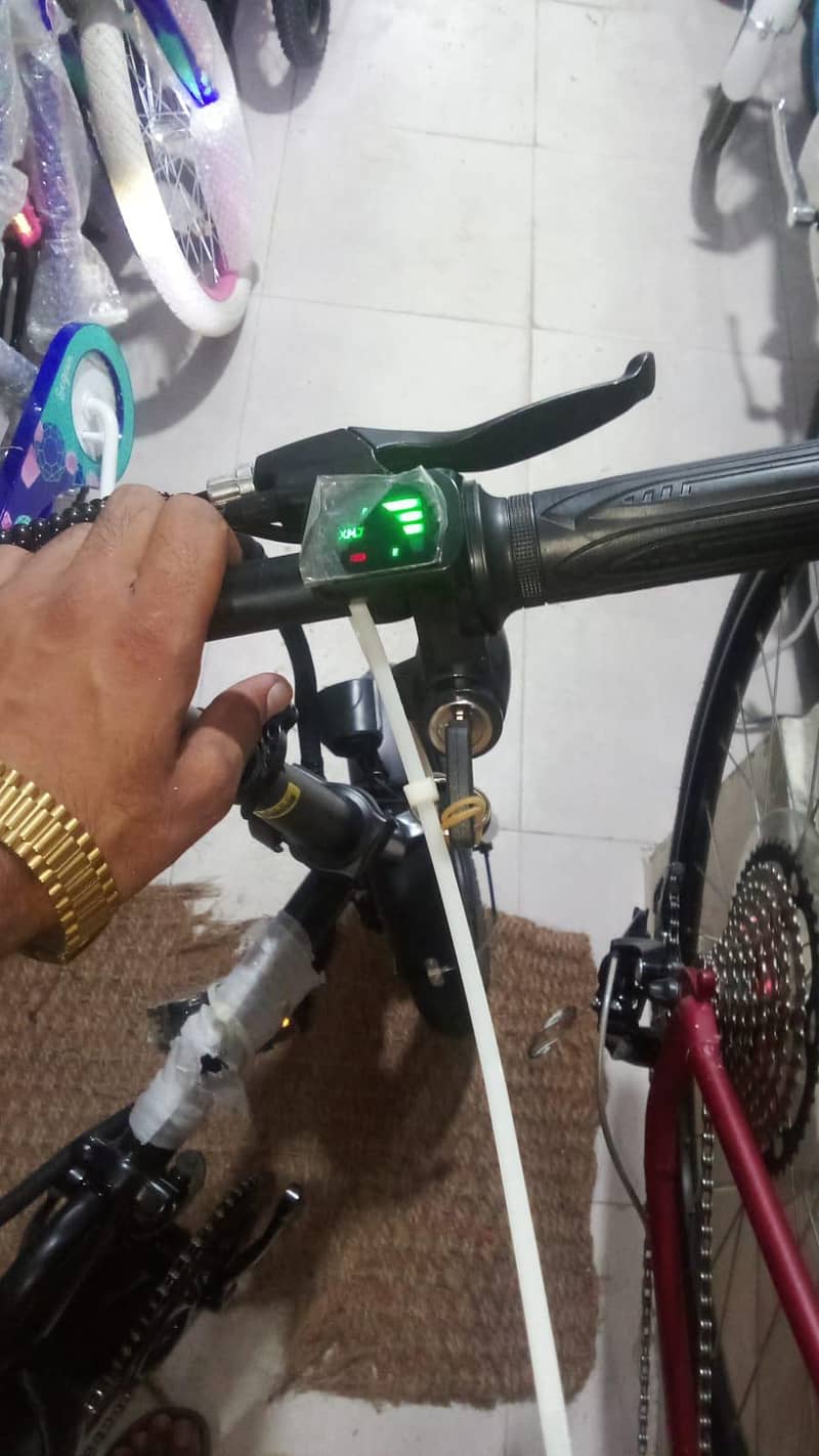 Electric bicycle 5