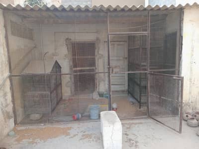 Heavy Metal Iron frame for Master Cage