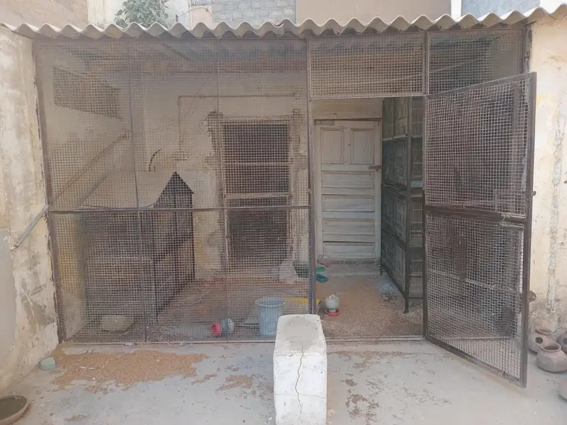 Heavy Metal Iron frame for Master Cage — photo 2