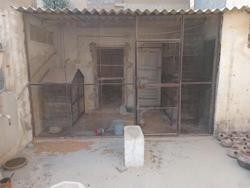 Heavy Metal Iron frame for Master Cage — photo 3