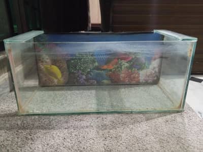 Fish Aquarium